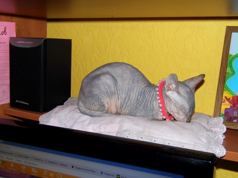 нашей малышке 4 мес.