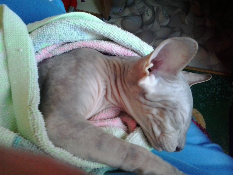 вот наше любимое занятие нашей малышке