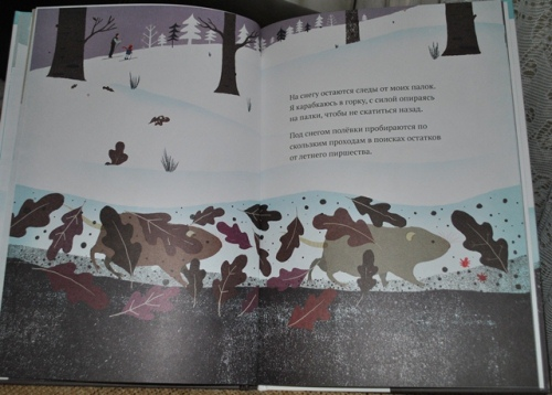 Наши новые зимние книги