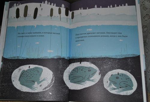 Наши новые зимние книги