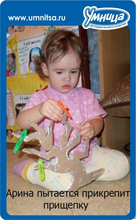 Деревья  - повод для творчества.