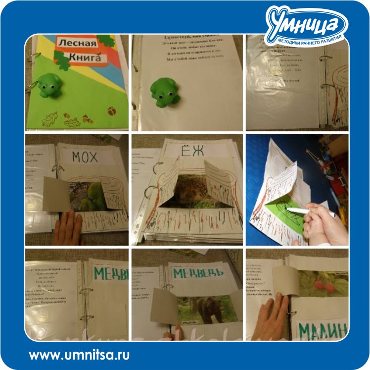 Книжка из карточек "Мир на ладошке"