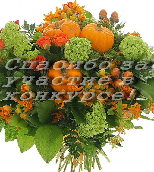 Итоги конкурса " Мисс Краса Осени 2013"