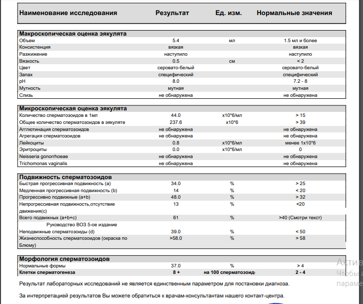 Агглютинация в спермограмме что это. Морфология сперматозоидов нормальные формы. Спермограмма морфология сперматозоидов нормальные формы. Клетки сперматогенеза показатель нормы. Исследование морфологии сперматозоидов норма.