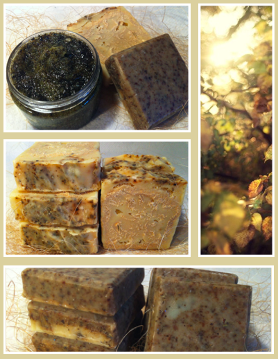 Бодрящая свежесть Эвкалипта