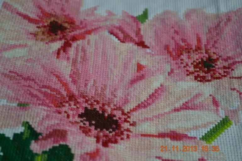 Мои "Герберы"