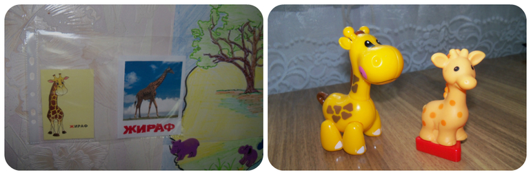 ТН «Животные Африки»