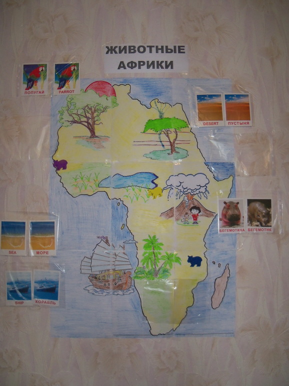 ТН «Животные Африки»