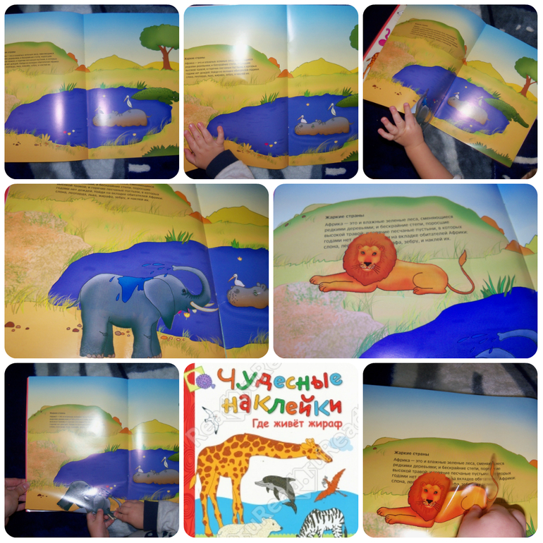 ТН «Животные Африки»