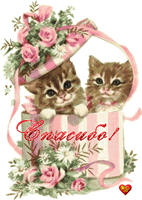 Большое спасибо!!!