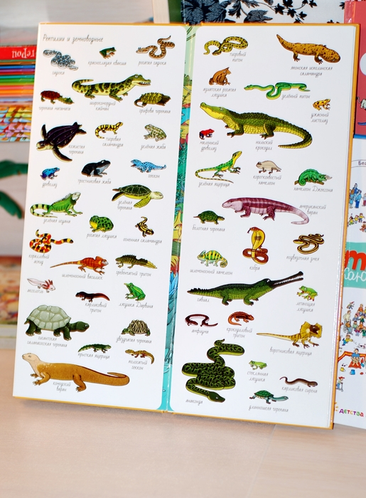 Обзор наших