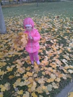 Собирали букет бабушке !!! Или ... осенняя прогулка ( фото с телефона ) ...