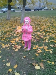 Собирали букет бабушке !!! Или ... осенняя прогулка ( фото с телефона ) ...