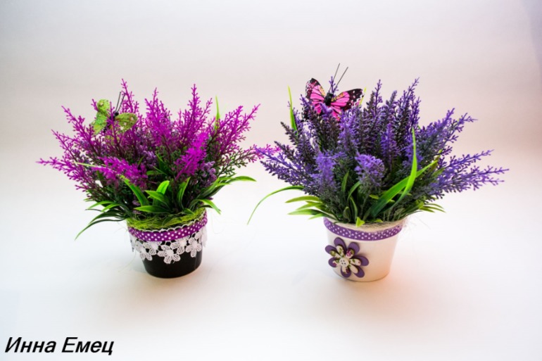 Запах лаванды