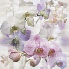 Прошу совета по раскладке плитки