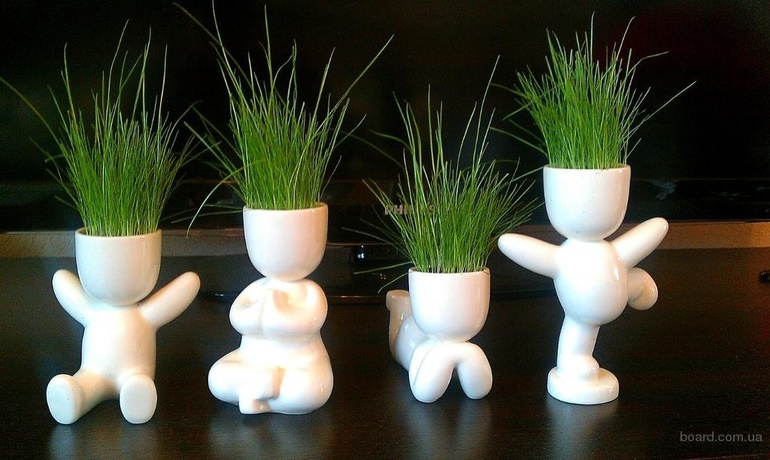 Пристрой - ЭКО*человечки 240р+%