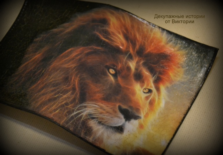 Я твой лев, ты моя львица!