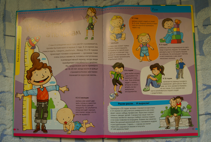 Нескучная Анатомия. Лабиринт