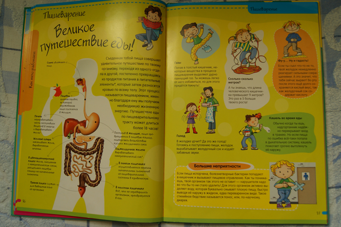 Нескучная Анатомия. Лабиринт