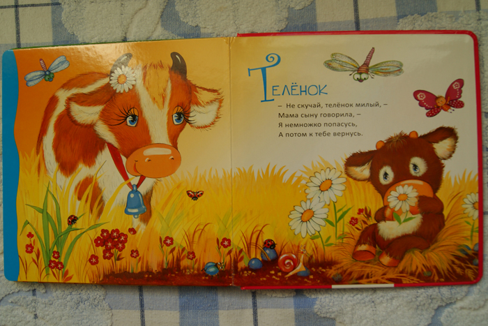 Наши любимые книжки. Много фото.