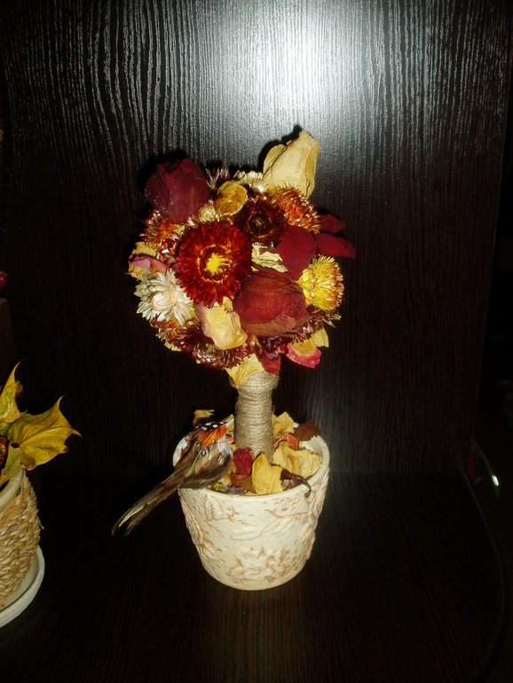 Осенний топиарий...