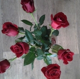 Табун из онлайна