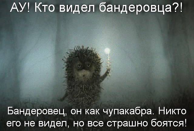 e91b5044594f61e261b7cc84d90b479b.jpg
