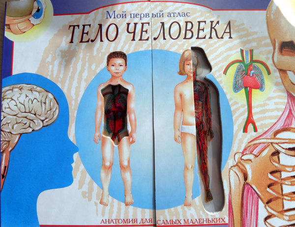 ТН - ТЕЛО ЧЕЛОВЕКА