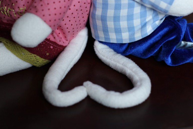 Неразлучная парочка.