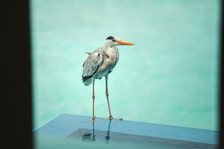 девочки, еще положительные фотки= эмоции!!!