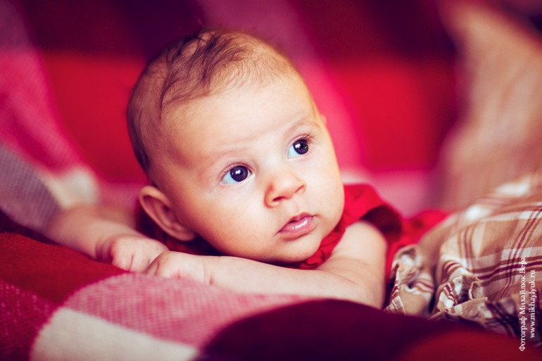 Предновогодняя семейная фотосессия