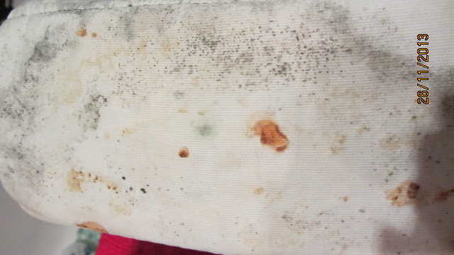 реально ли вывести это?