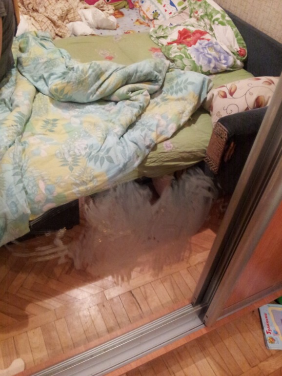 Какашечная художница))