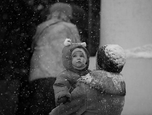 Бюрократия.