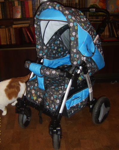 Наша прогулка на зиму Adbor ML-Sport