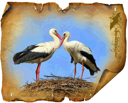 давно я вас не радовала!