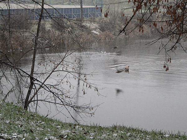 На прогулке (фото)