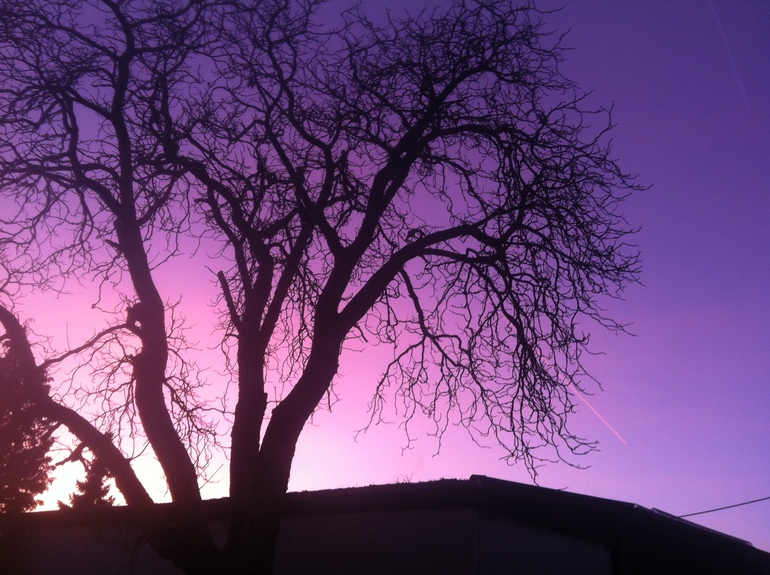 А из нашего окна вот такая красота видна!!