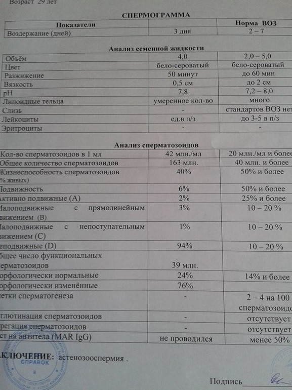 Спермограмма результаты расшифровка