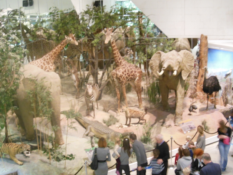 Наш поход с Давинский музей