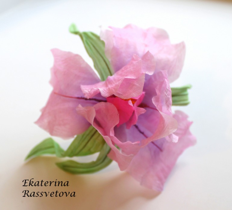 Шелковый Ирис