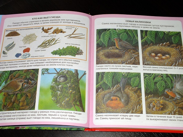 Совсем немного из последних приобретений