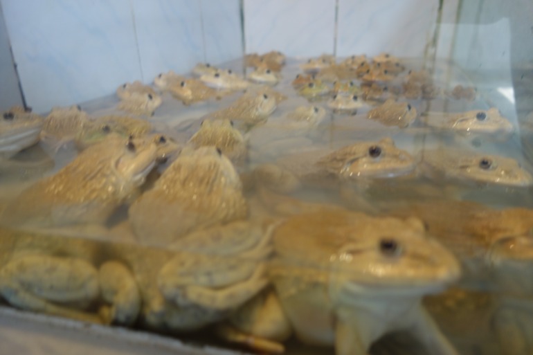 Москва-Бангкок-Пхукет-Самуи-Пхукет-Бангкок-Москва (много фото)