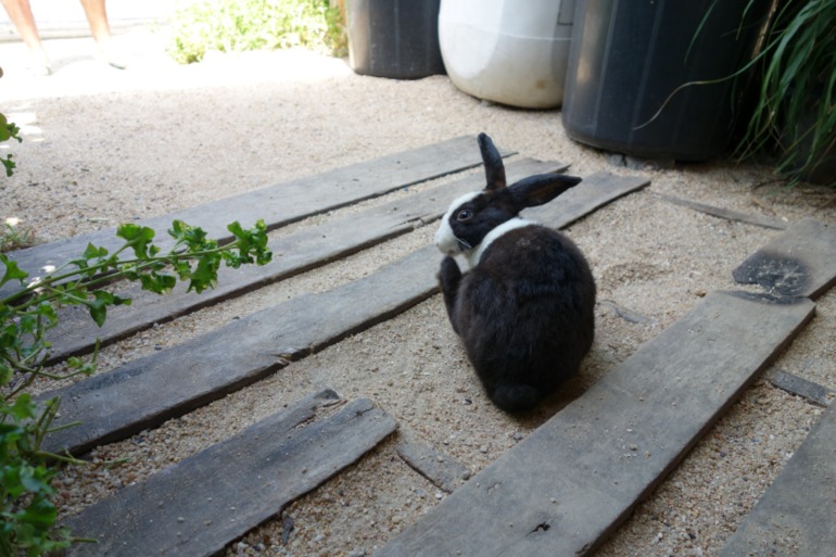 Москва-Бангкок-Пхукет-Самуи-Пхукет-Бангкок-Москва (много фото)
