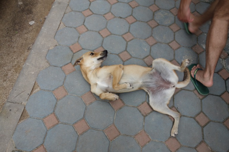 Москва-Бангкок-Пхукет-Самуи-Пхукет-Бангкок-Москва (много фото)