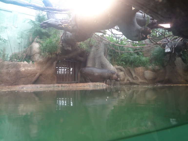 Отдых в Праге. День третий