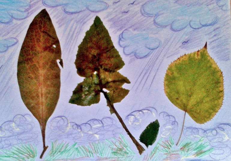 наш семейный гербарий ))