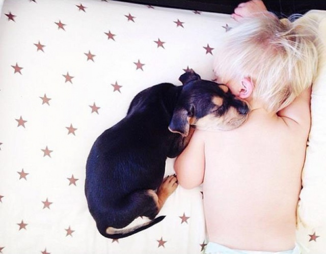 Щенячьи нежности