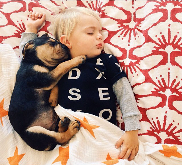 Щенячьи нежности