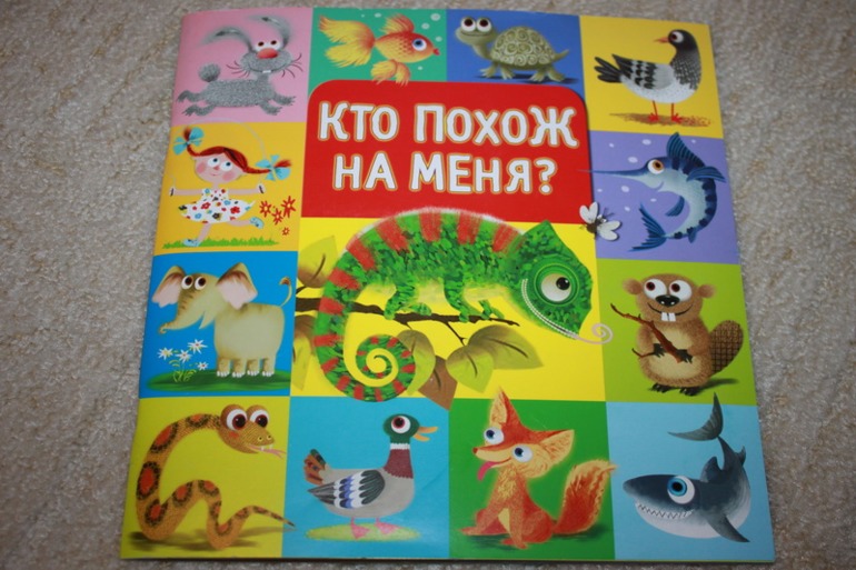 1dbf96db5df6e505845c1efbca9ac83d.jpg